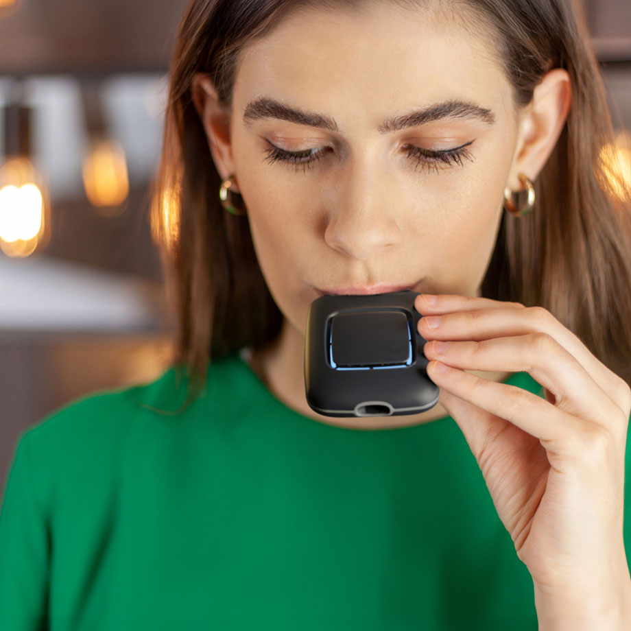 Использование FoodMarble